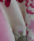 参列振袖[ヒロミチナカノ][ロマンチックガーリー]白に桜 [身長169cmまで]No.704